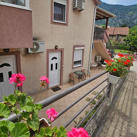 קוטור Apartment Aleksandar מראה חיצוני תמונה
