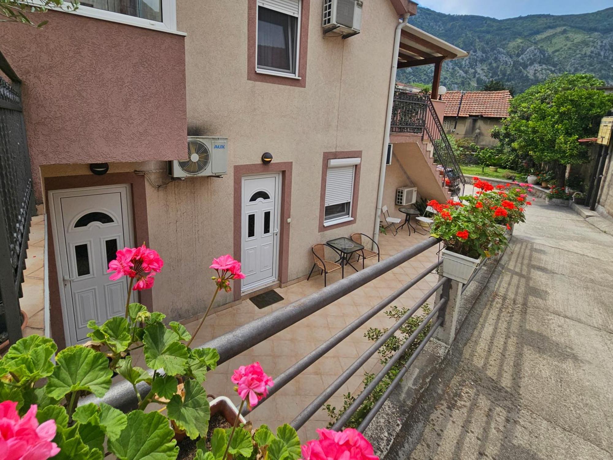 קוטור Apartment Aleksandar מראה חיצוני תמונה